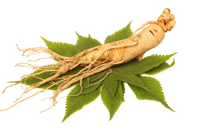 ginseng koren v razpršilu zxcvbnmqwert